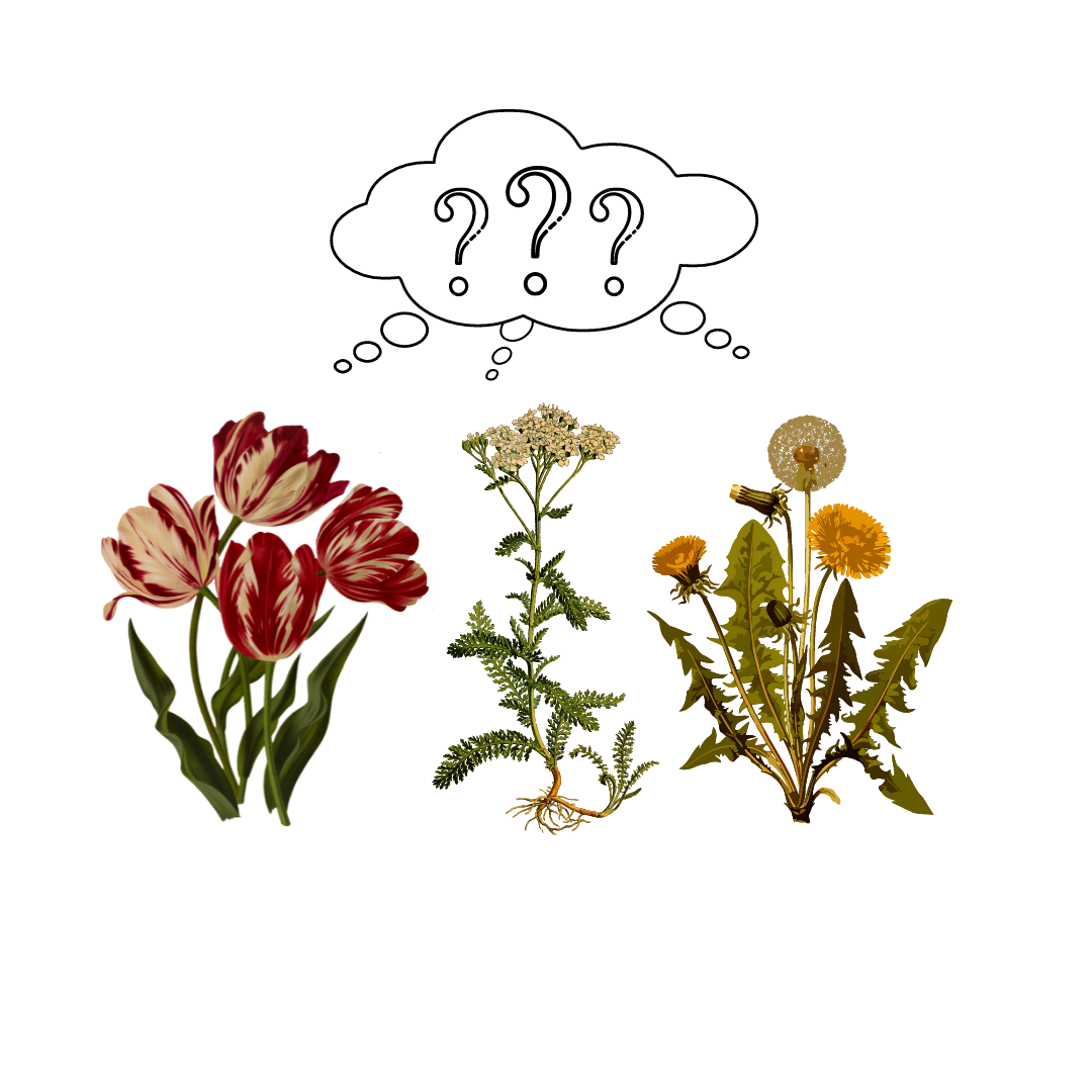 Perennial Philosophical Questions Resolved image