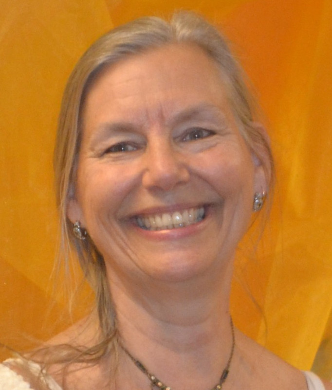 Karin Perkins image